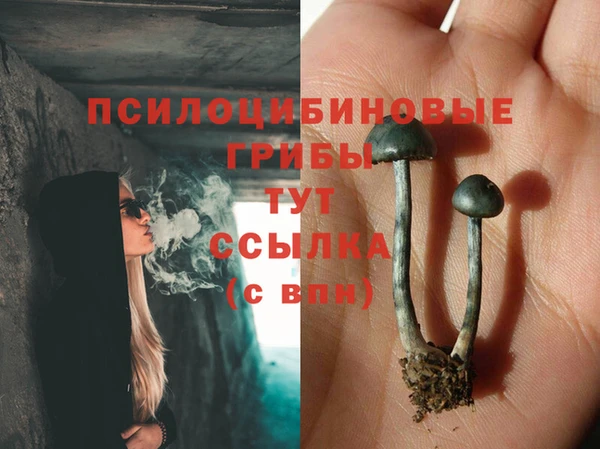 ешки Армянск