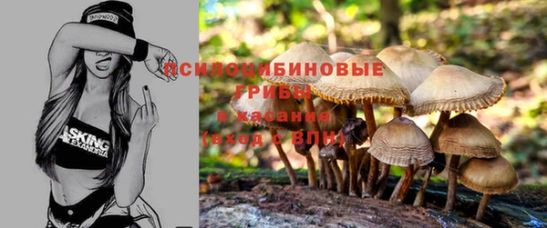 ешки Армянск