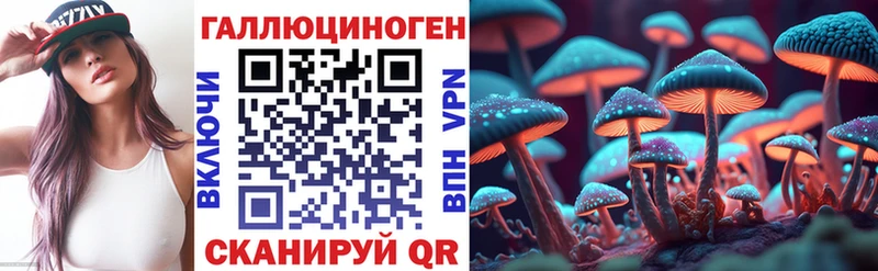 Псилоцибиновые грибы Psilocybe  купить   Валдай 